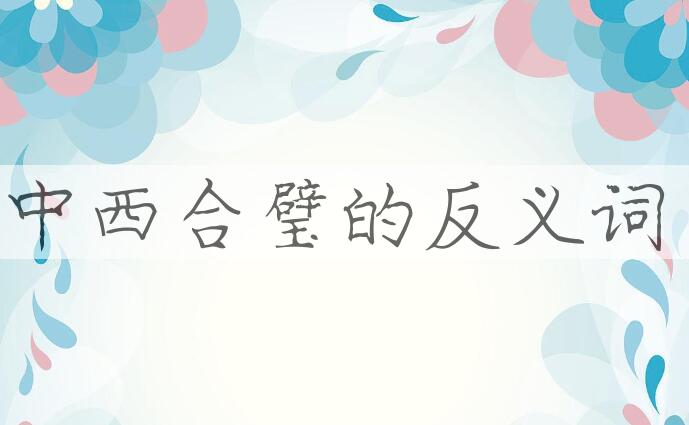 用中西合璧造句