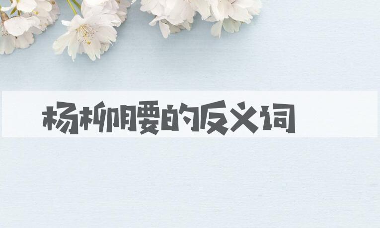 用杨柳腰造句