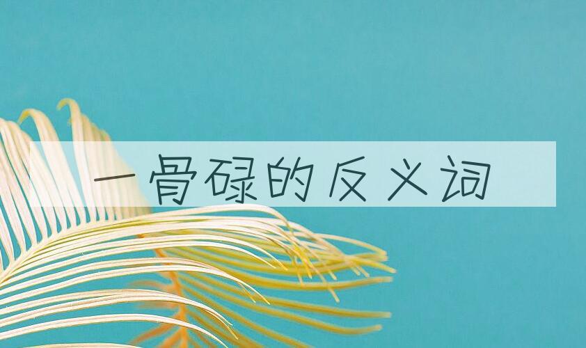 用一骨碌造句