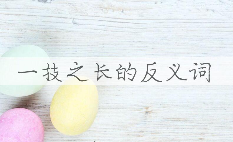 用一技之长造句