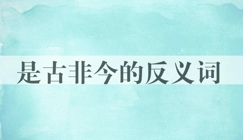 用是古非今造句