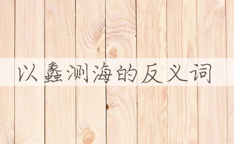 用以蠡测海造句