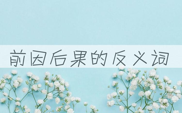 用前因后果造句
