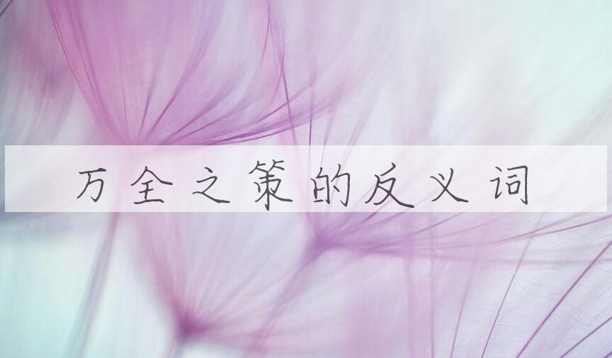 用万全之策造句