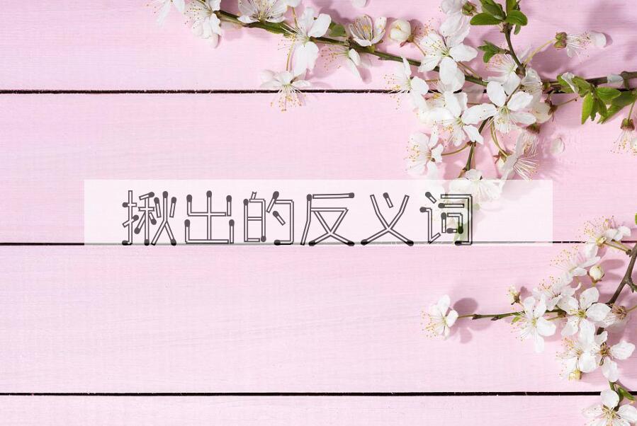 用揪出造句