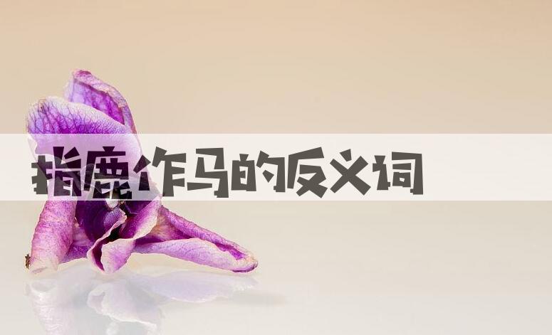 用指鹿作马造句