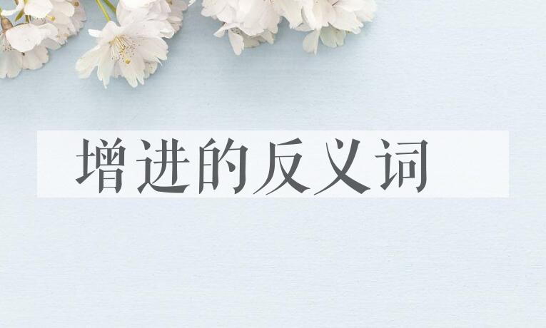 用增进造句