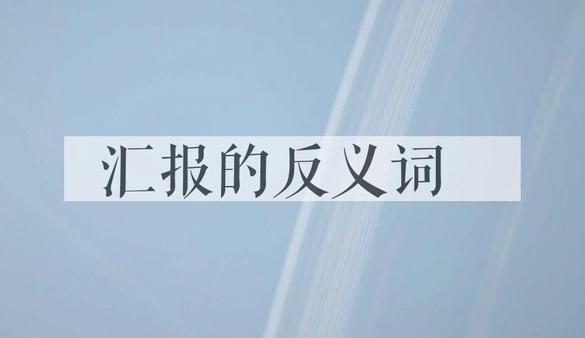 用汇报造句