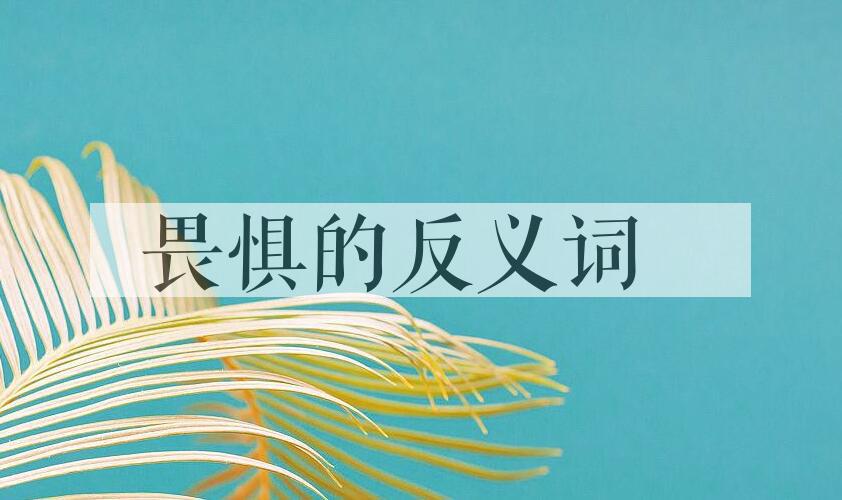 用畏惧造句