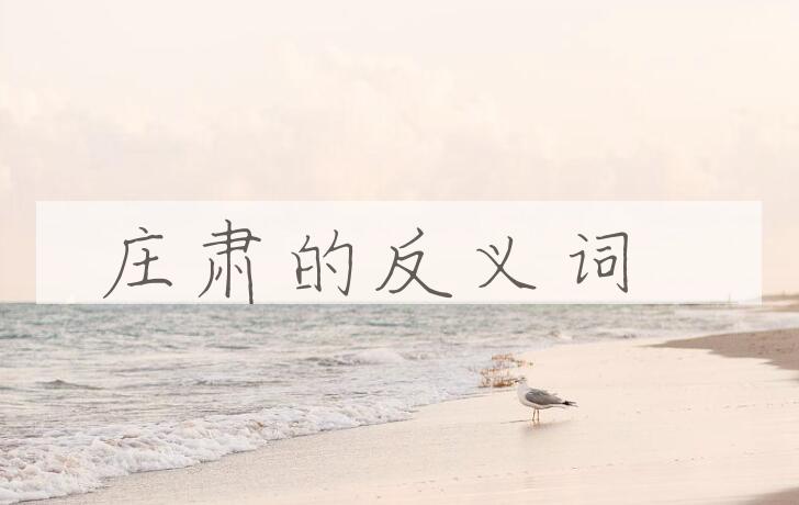用庄肃造句
