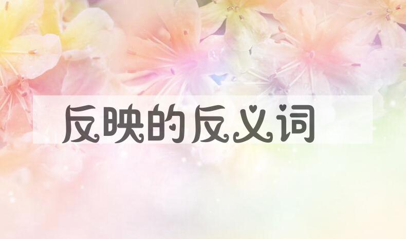 用反映造句
