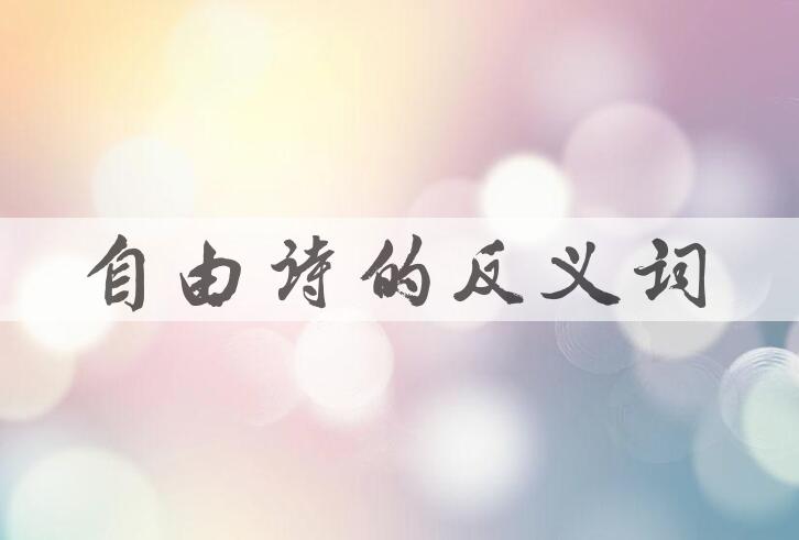 用自由诗造句