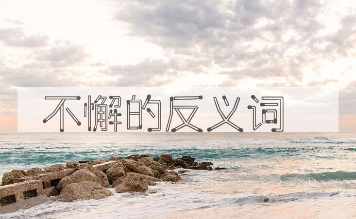 用不懈造句