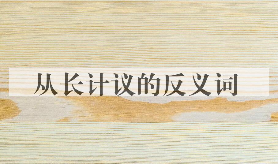 用从长计议造句