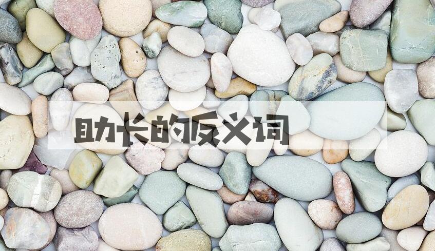 用助长造句
