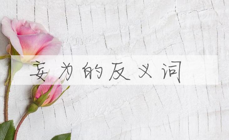 用妄为造句