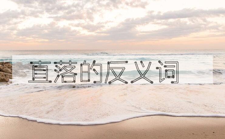用直落造句