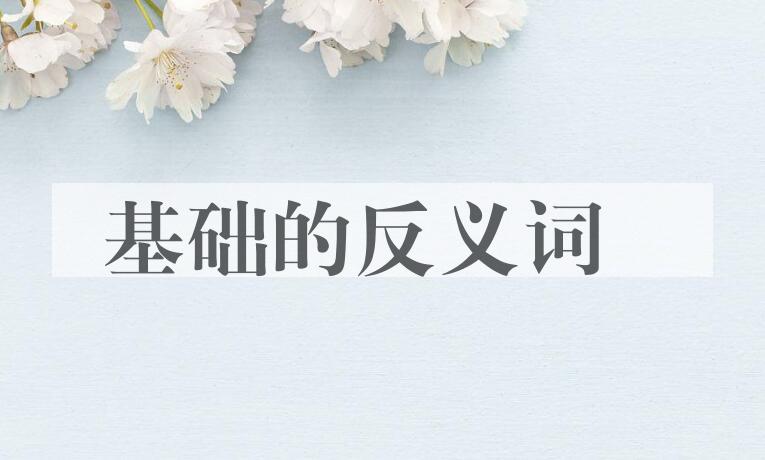 用基础造句