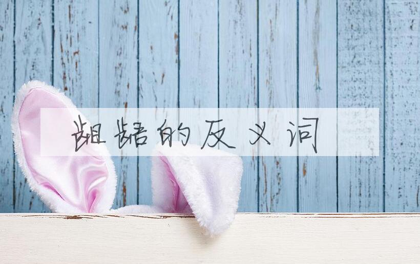 用龃龉造句