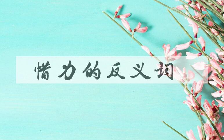用惜力造句