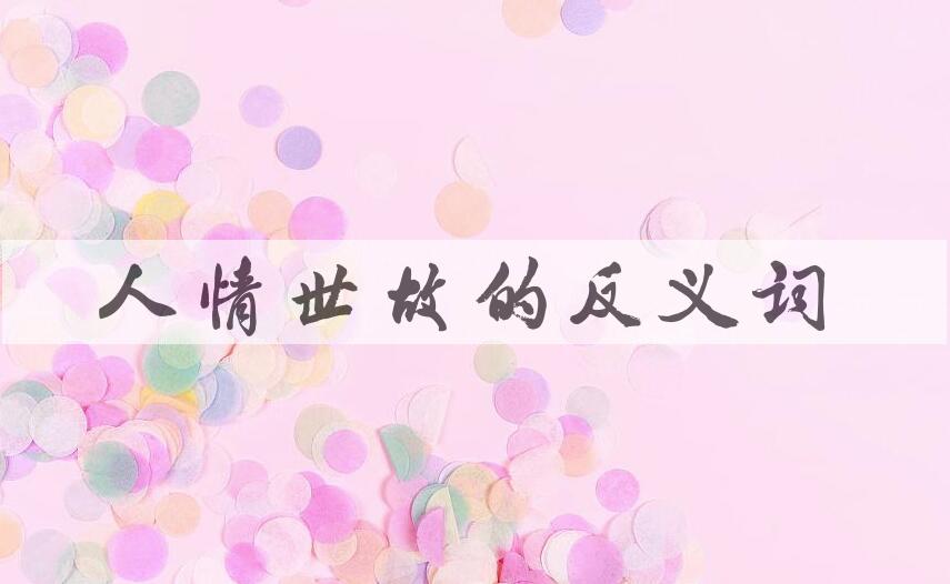 用人情世故造句