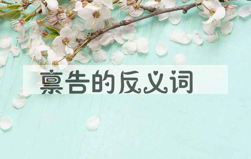 用禀告造句