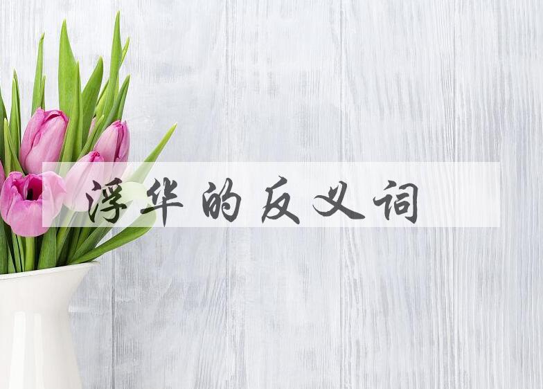 用浮华造句