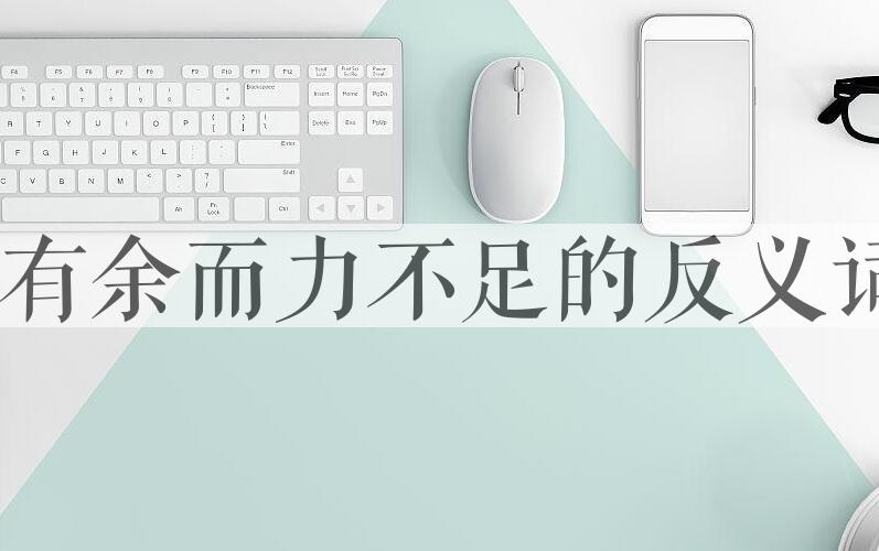 用心有余而力不足造句