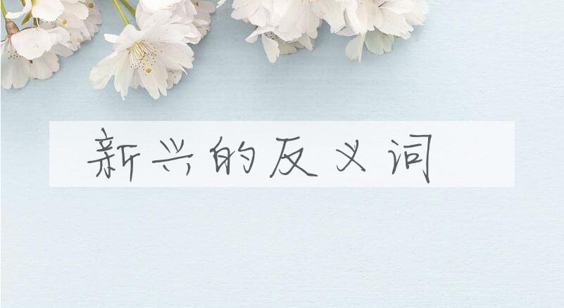 用新兴造句