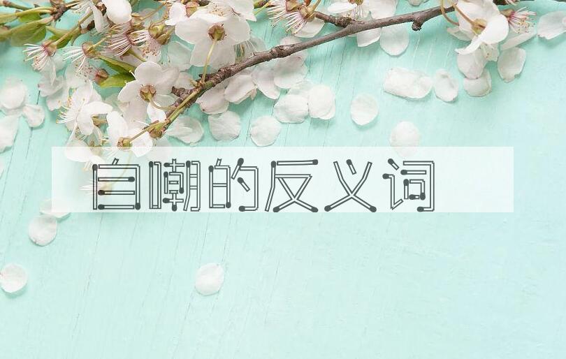 用自嘲造句