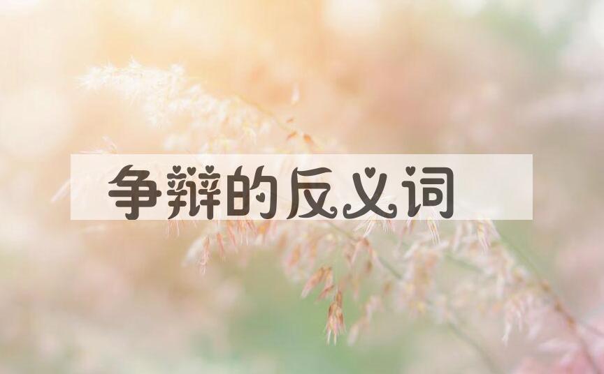 用争辩造句