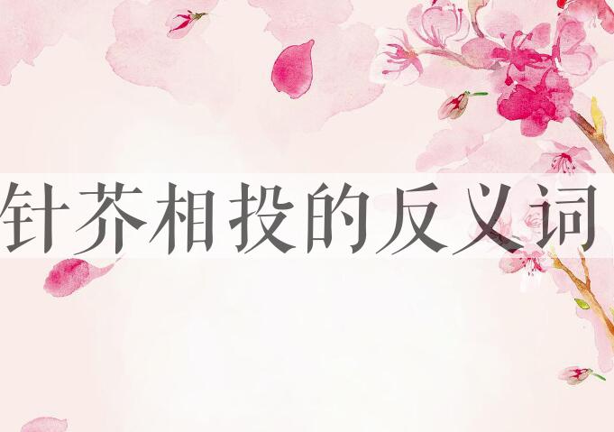 用针芥相投造句