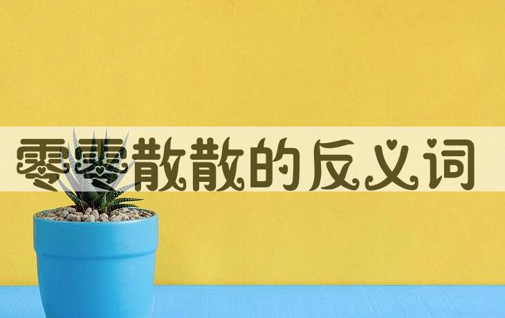 用零零散散造句