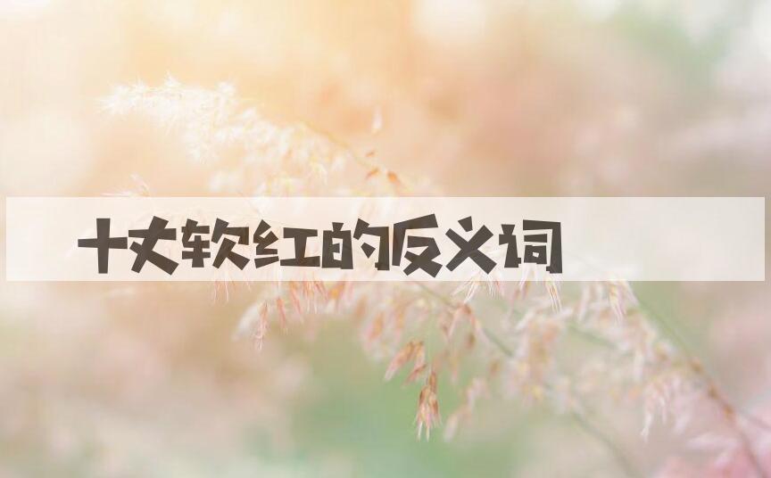 用十丈软红造句