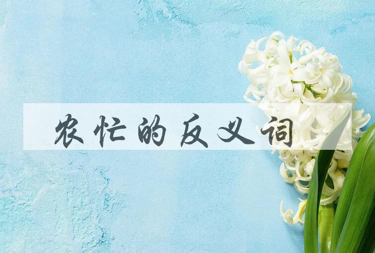 用农忙造句
