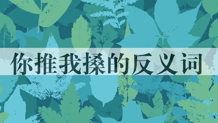 用你推我搡造句