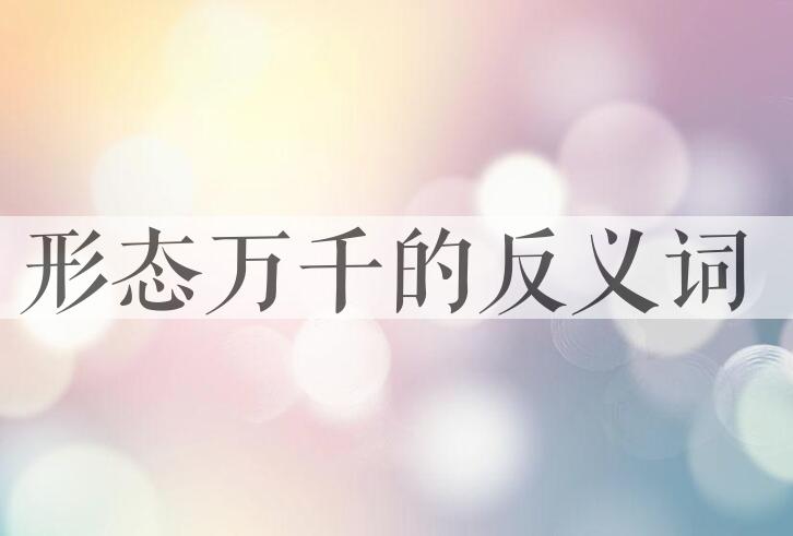 用形态万千造句