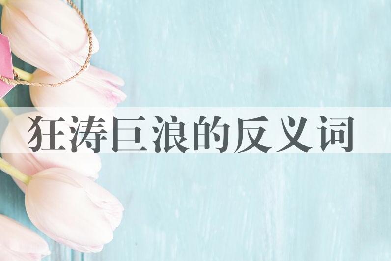 用狂涛巨浪造句