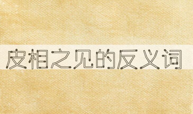 用皮相之见造句