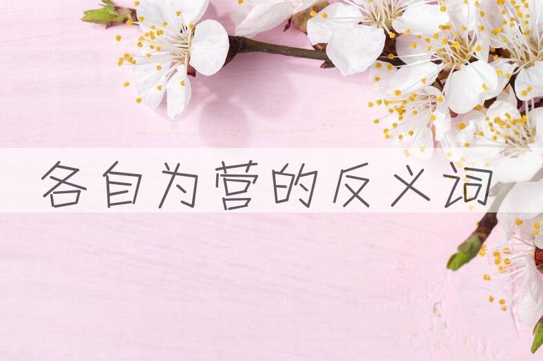 用各自为营造句