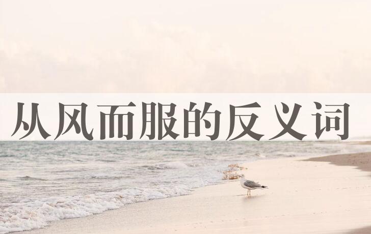 用从风而服造句