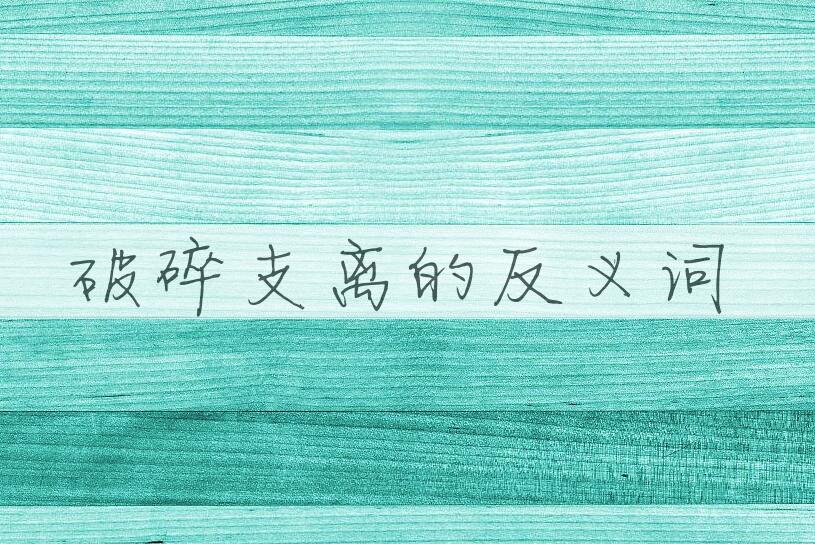 用破碎支离造句