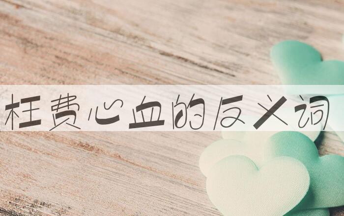 用枉费心血造句