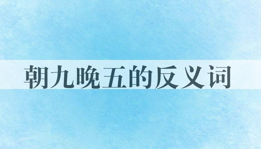 用朝九晚五造句