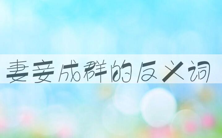 用妻妾成群造句