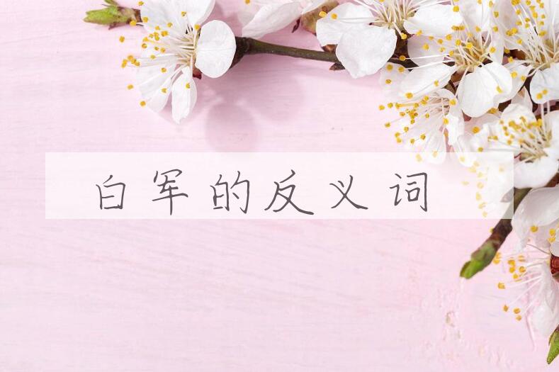 用白军造句