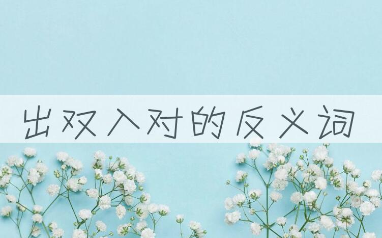 用出双入对造句