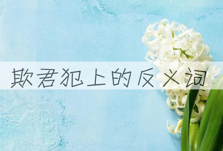 用欺君犯上造句