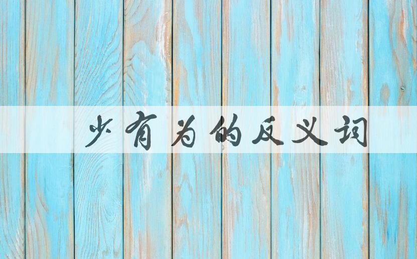 用年少有为造句