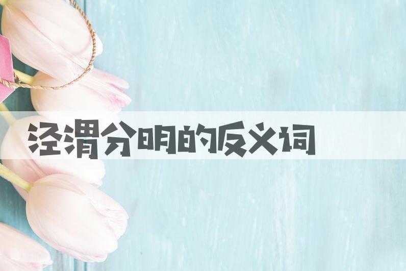 用泾渭分明造句